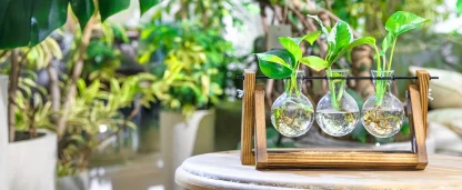 Wooden Clear Flower Pot for Tabletop - Image 6
